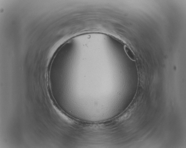 X0000076091519200610061628