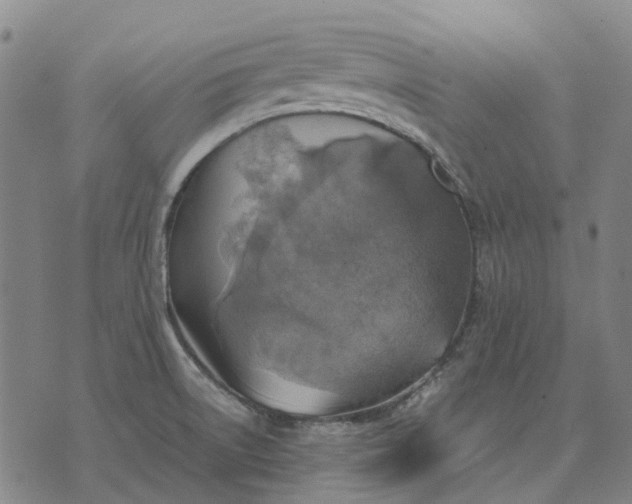 X0000076091522200610061628