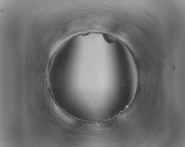 X0000076091524200610061628