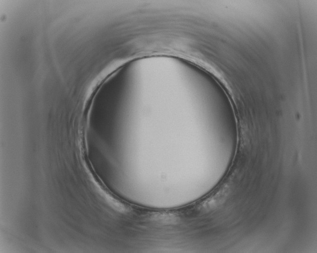 X0000076091525200610061628