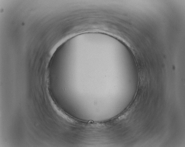 X0000076091526200610061628