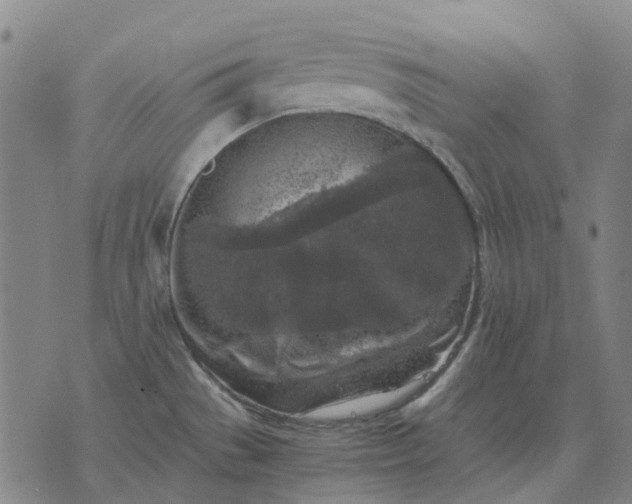 X0000076091529200610061628