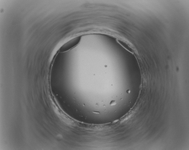 X0000076091530200610061628