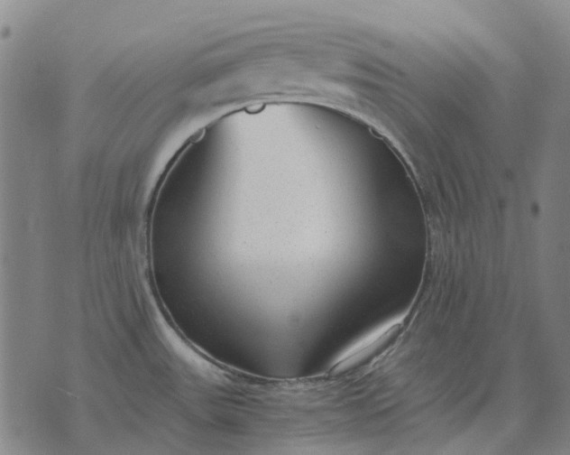 X0000076091531200610061628