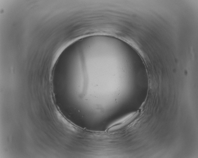 X0000076091532200610061628