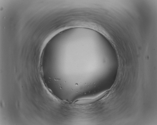 X0000076091536200610061628