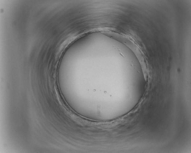 X0000076090001200610152330