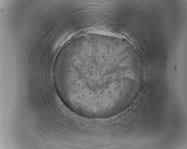 X0000076090002200610152330