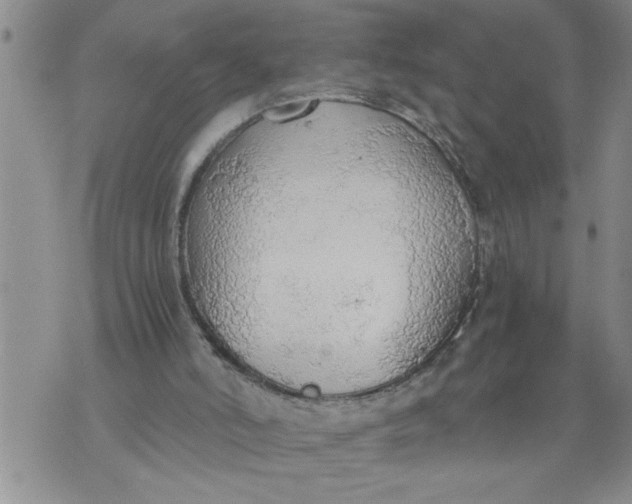 X0000076090006200610152330