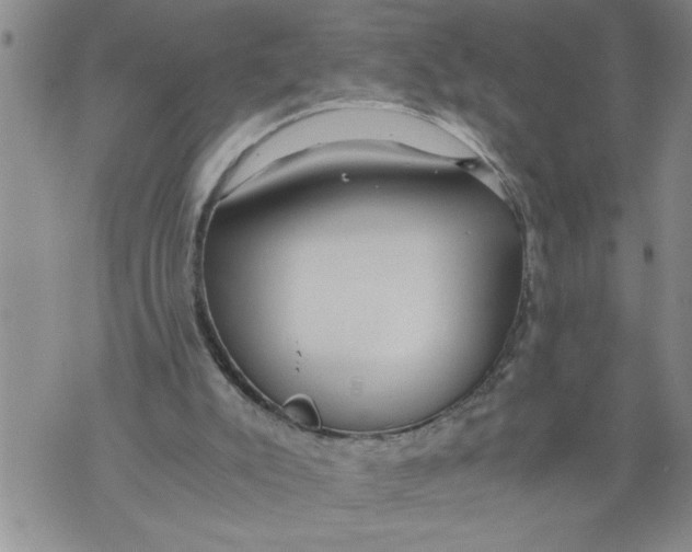 X0000076090007200610152330