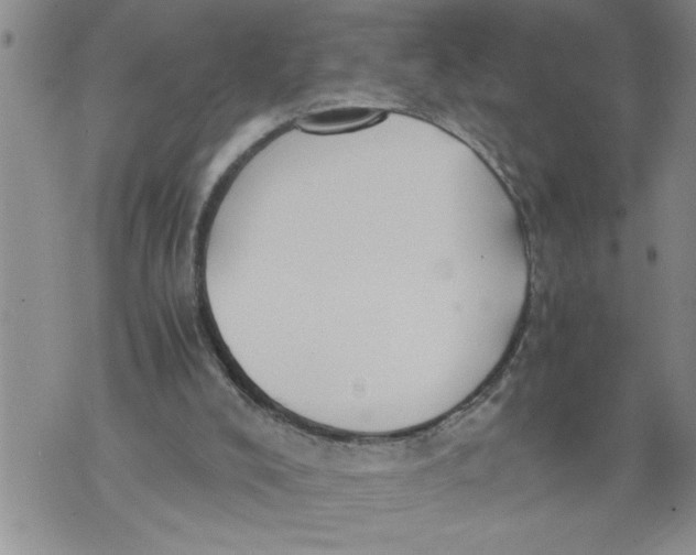 X0000076090008200610152330