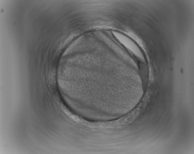 X0000076090009200610152330