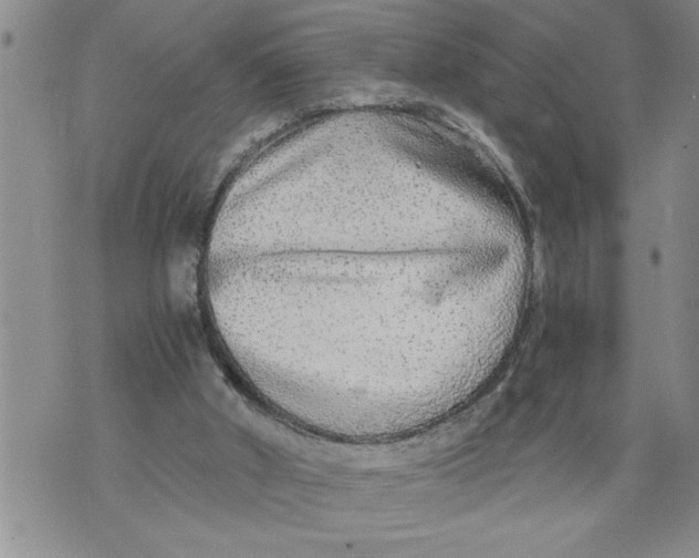 X0000076090010200610152330