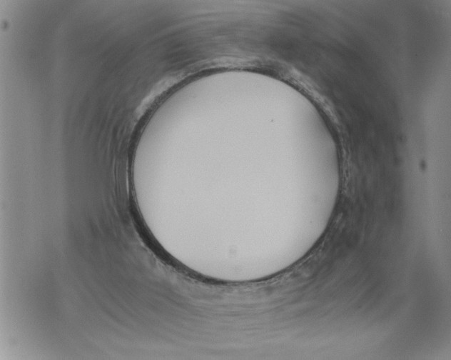 X0000076090011200610152330