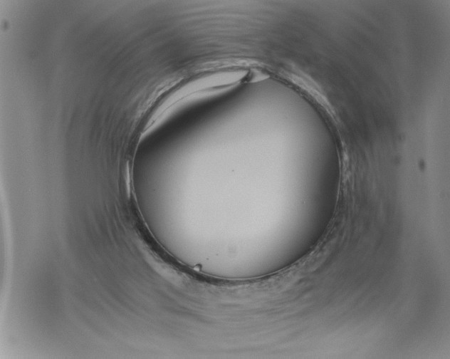 X0000076090013200610152330