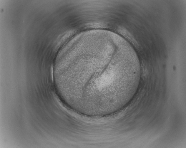 X0000076090014200610152330