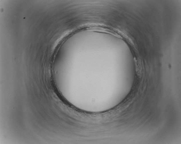 X0000076090015200610152330