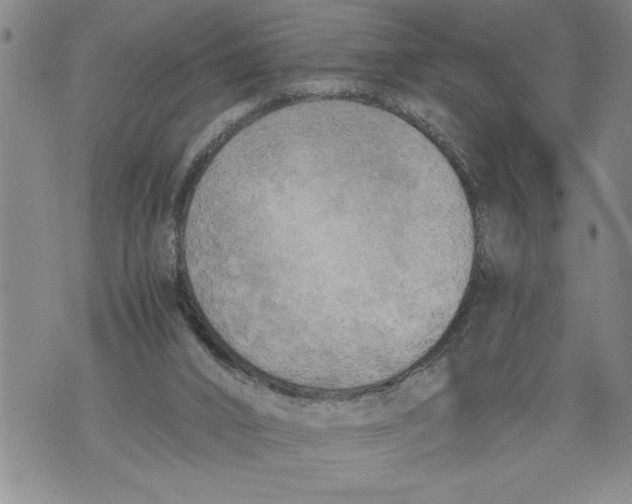 X0000076090016200610152330