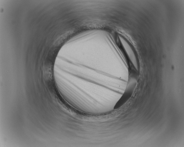 X0000076090017200610152330