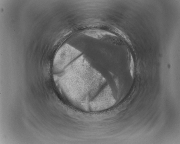 X0000076090018200610152330