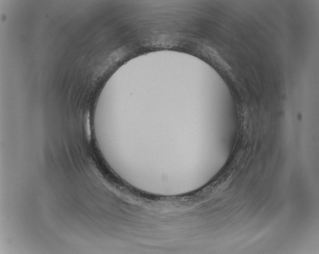 X0000076090020200610152330