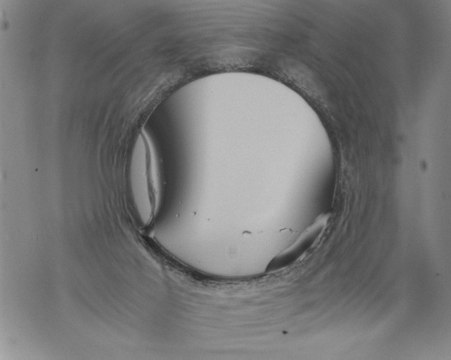 X0000076090021200610152330