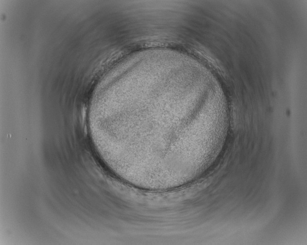 X0000076090022200610152330