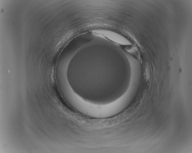 X0000076090023200610152330