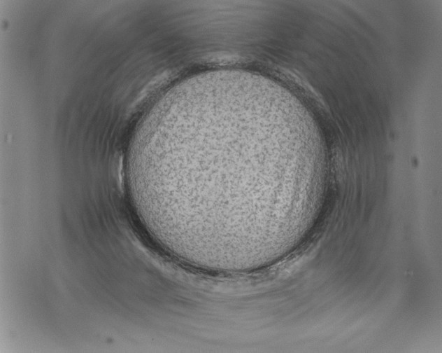 X0000076090024200610152330