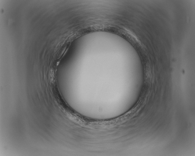 X0000076090025200610152330