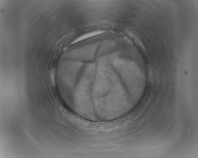 X0000076090026200610152329