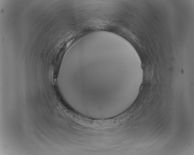 X0000076090027200610152329