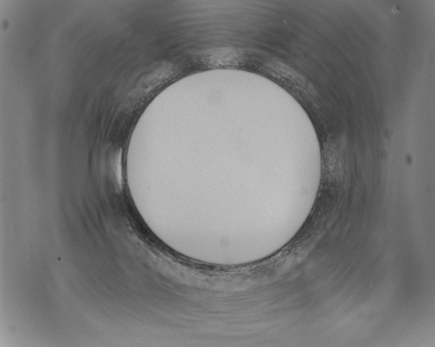 X0000076090028200610152329