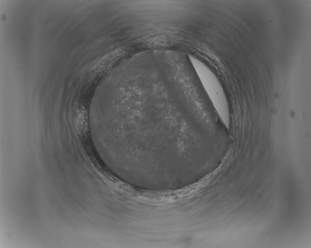 X0000076090029200610152329