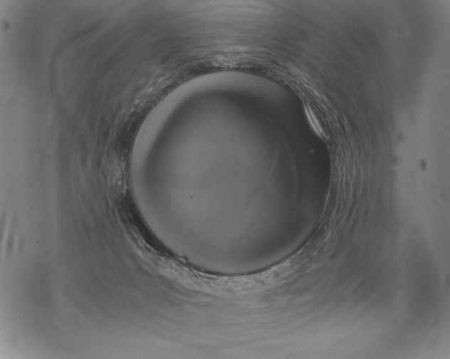 X0000076090031200610152329