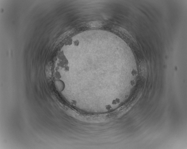 X0000076090032200610152329