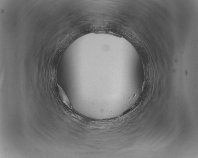 X0000076090033200610152329