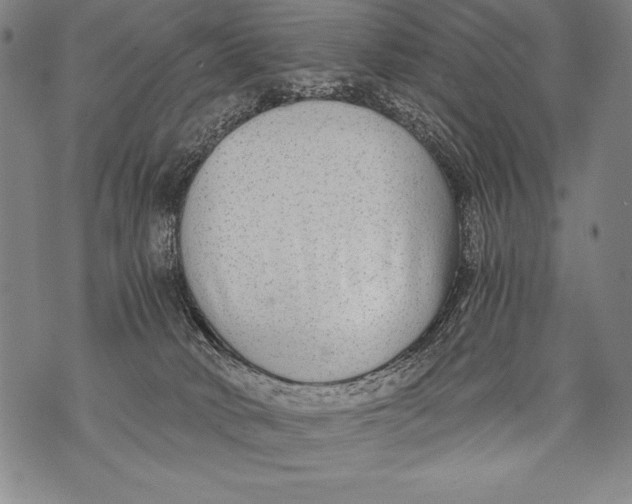 X0000076090034200610152329