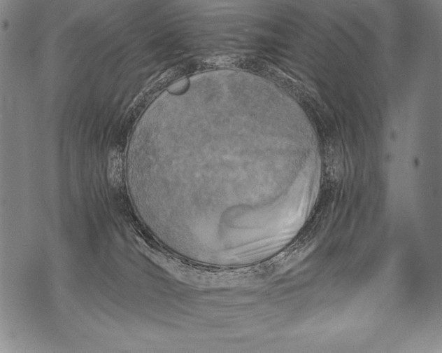 X0000076090036200610152329