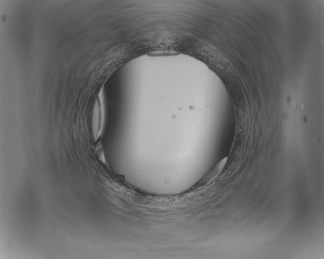 X0000076090037200610152329