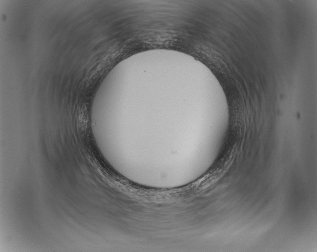 X0000076090040200610152329