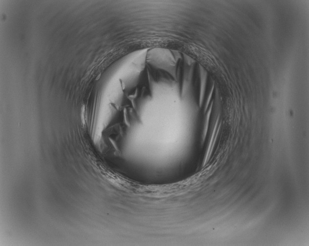 X0000076090041200610152329