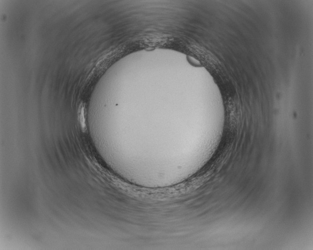 X0000076090042200610152329