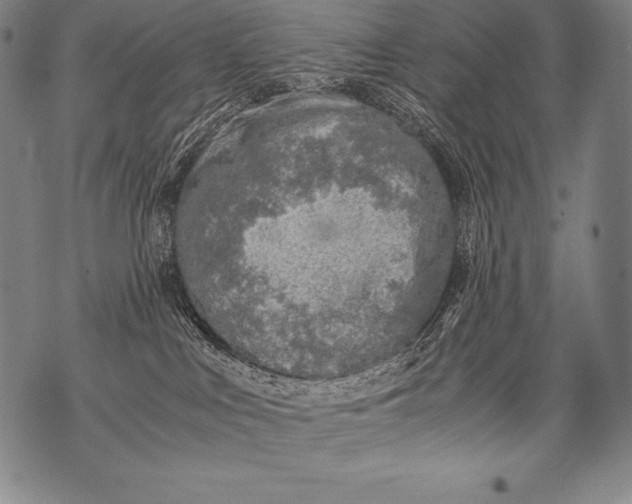 X0000076090043200610152329