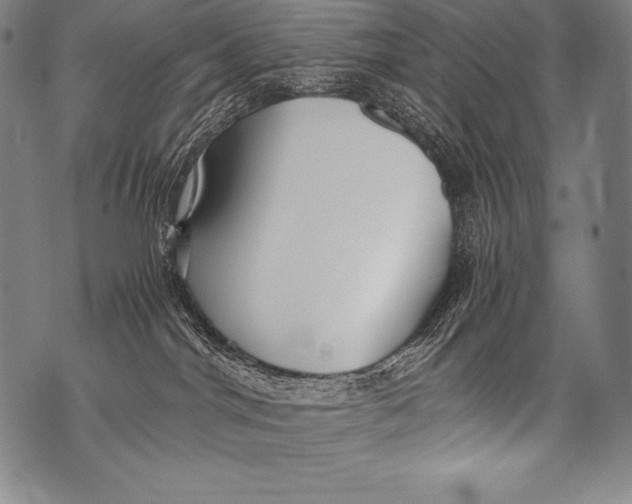 X0000076090044200610152329