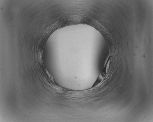 X0000076090045200610152329