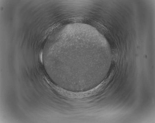 X0000076090047200610152329