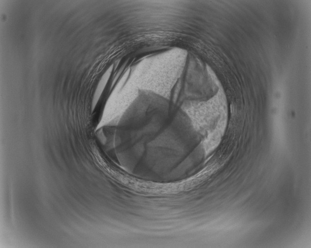 X0000076090048200610152329