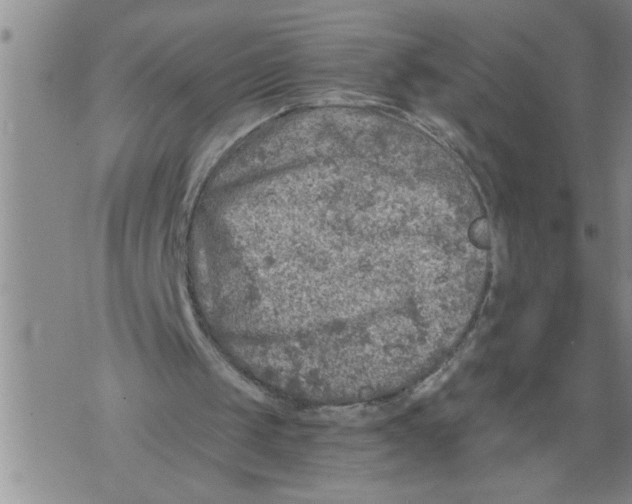 X0000076090049200610152328