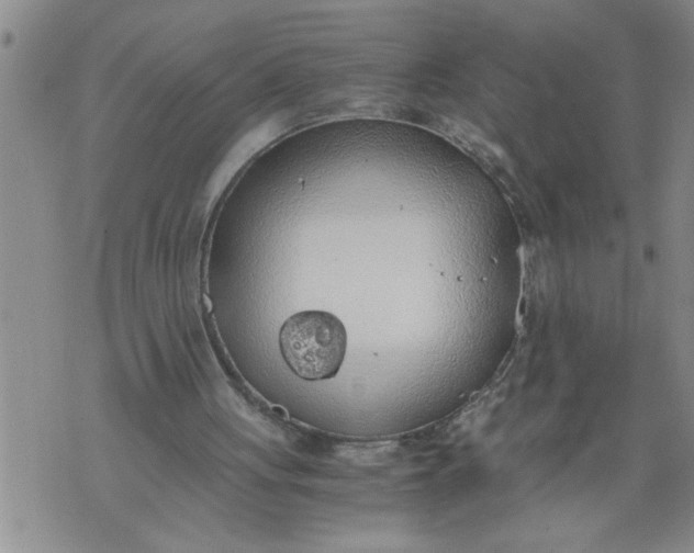 X0000076090051200610152328